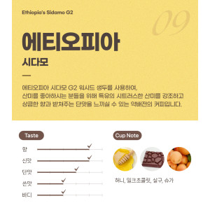 파란수염커피 에티오피아 시다모 G2