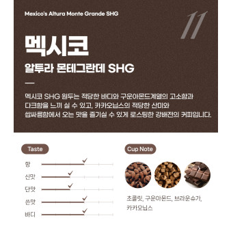 파란수염커피 멕시코 알투라 몬테그란데 SHG